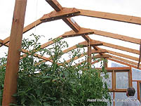 DIY Greenhouse - Greenhouse layout - How to build a greenhouse - Roffing a backyard greenhouse