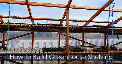 How to build greenhouse shleving - Greenhouse shelves and benches - Greenhouse staging idea