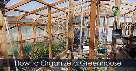 How to organize a Greenhouse - Organizing greenhouse space - Ideas for greenhouse organization