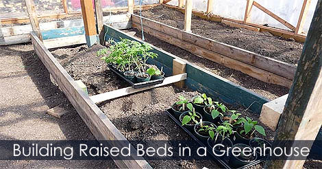 How to build raised beds in a greenhouse - Building raised beds in greenhouse - How to build a greenhouse