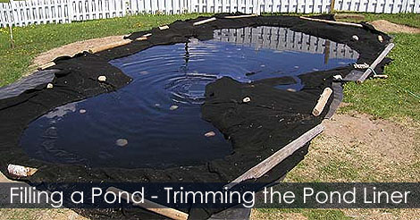 How to fill a Pond - How to trim a pond liner - How to construct a pond - Pond construction guide - Trimming a Pond liner - Backyard pond contruction - Laying pond liner