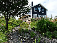 Filtering the pond with a bog a garden stream - Natural pond filter - How to build a natural pond filter