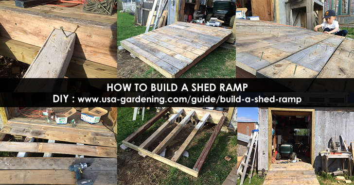 Build shed ramp