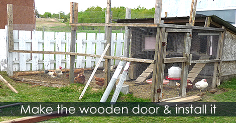 Chicken run door