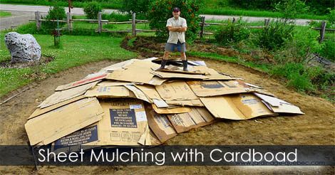 Sheet Mulching Permaculture - Sheet mulching process - Sheet mulching with cardboard and wood chips - No Grass Front Yard Landscaping