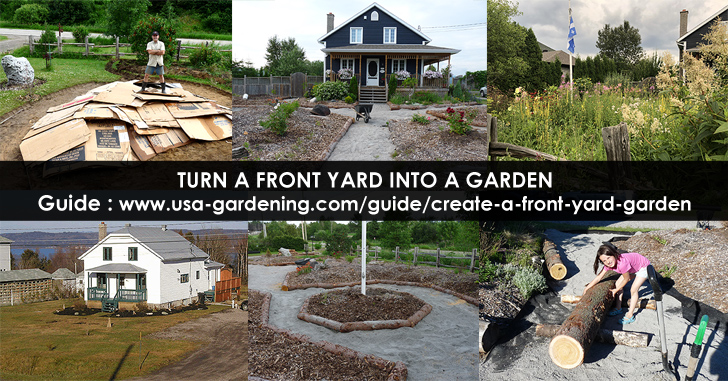 Turn front yard into a garden
