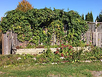 Outdoor building - How to build a garden fence - Garden fence design idea Plan