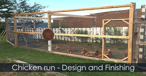 Chicken run