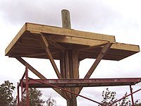 Freestanding treehouse platform