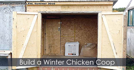 How to build a winter chicken coop - Keeping chickens warm in the cold weather - Winterized chicken coop