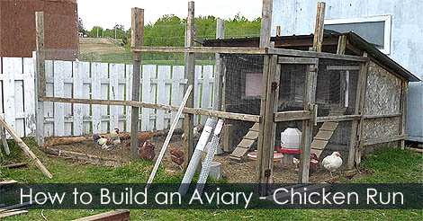 How to build a chicken coop and run - How to build an aviary - Birds aviary design idea