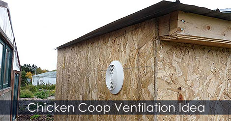 Installing exhaust fan in Chicken coop - Chicken coop ventilation - How to ventilate a chicken coop - Chicken coop fan