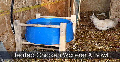 Heated chicken waterer - Raising chicken in winter - Heated poultry waterer idea