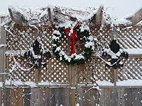 Fence decorating ideas