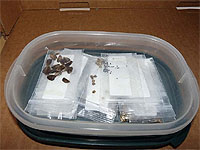 Learn About Stratification Of Seeds & What Seeds Require Cold Treatment