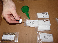 Stratifying medium - How to germinate seeds in paper towel