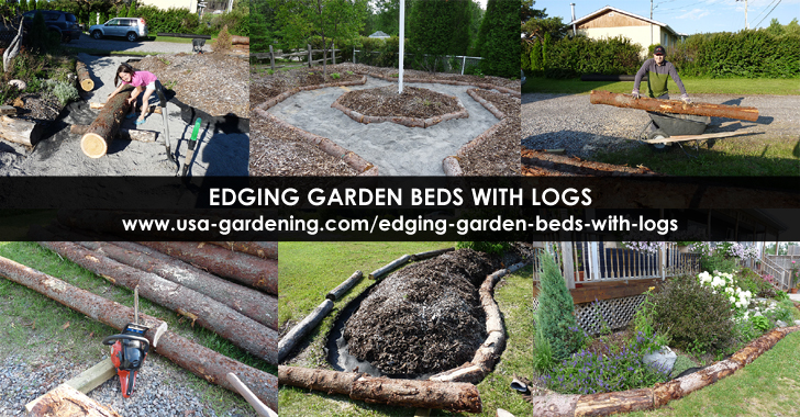 Edging beds with logs