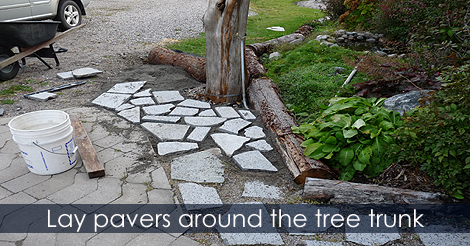 Lay pavers around tree stump