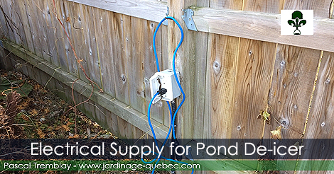 Electrical supply for a pond de-icer - Running power to a pond pump
