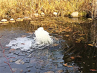 Turn on a pond de-icer for the first time