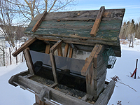 Bird feeder location