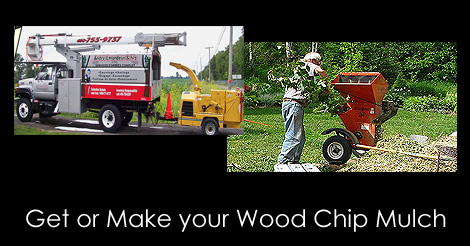 Free wood chips - Get or make wood chip mulch