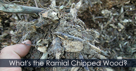 How to make mulch - How To Make Wood Chip Mulch for Your Yard