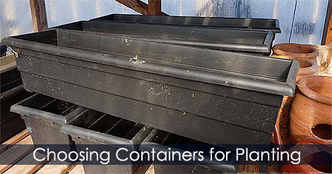 Choose the Right Container for Your Plants - How to plant a window box