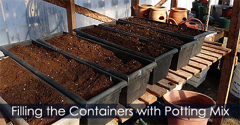 Tips for Filling Garden Pots with Soil - Tips for Filling Containers with Soil