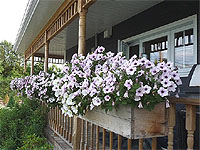How to Hang a Window Box