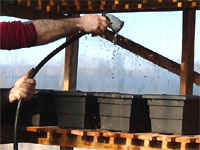 Watering container plants - How to plant a planter box with flowers