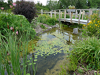 How to set a fish trap