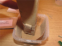 Seed Germination - How to rub seeds gently to scarify them