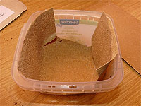 Seed Scarification Tools - How to make a tool for scratching seeds and altering seed coat