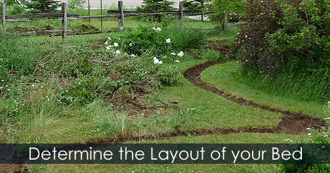 Sheet Mulching - Start digging edge - Determine the outline of the bed and remove the sod of the edge