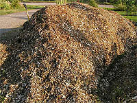 How to get free woodchips - Building Garden Soil With Wood Mulch - Organic Gardening
