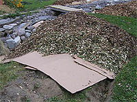 How to build garden beds - No lawn landscape design - Garden design