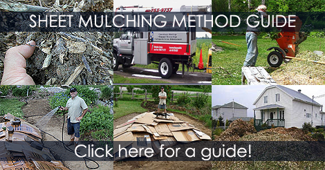 Sheet Mulching Method - DIY Guide Instructions Tips