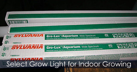 How to Select Grow Light for Indoor Growing