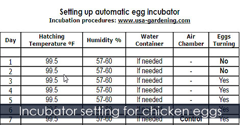 Incubator setting for chicken eggs - Hatching chicken eggs chart - Incubation calendar - Egg hatch guide - Setting up automatic egg incubator