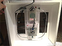 Still air incubator - Forced-air incubators use fans to provide internal air circulation - Chicken hatching