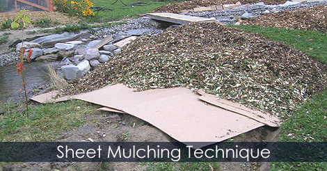Sheet mulching