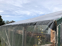 Greenhouse plastic sheeting