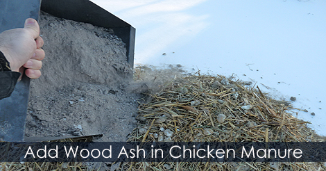 Wood ash soil amendment