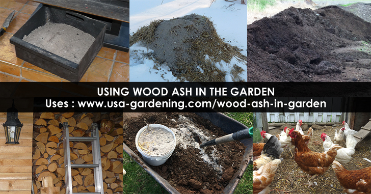 Wood ash uses