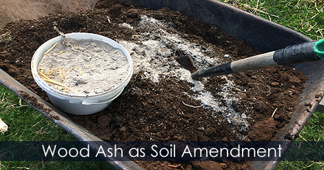 Soil amendment