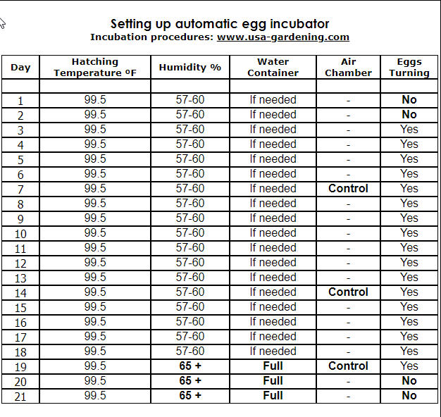 Chicken hatching egg chart - incubation time and temperature chart