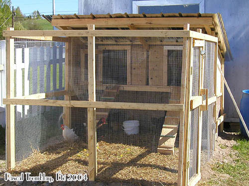 How to build a chicken coop - Poultry Coop - Poultry Coop plan - How to build chicken house - The chicken coop Plan - The Hen House
