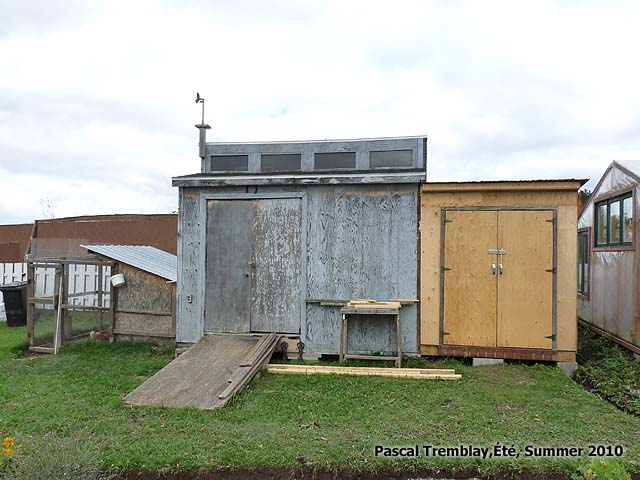 Henhouse - Poultry House - hen coops - Poultry coop - Chicken coop