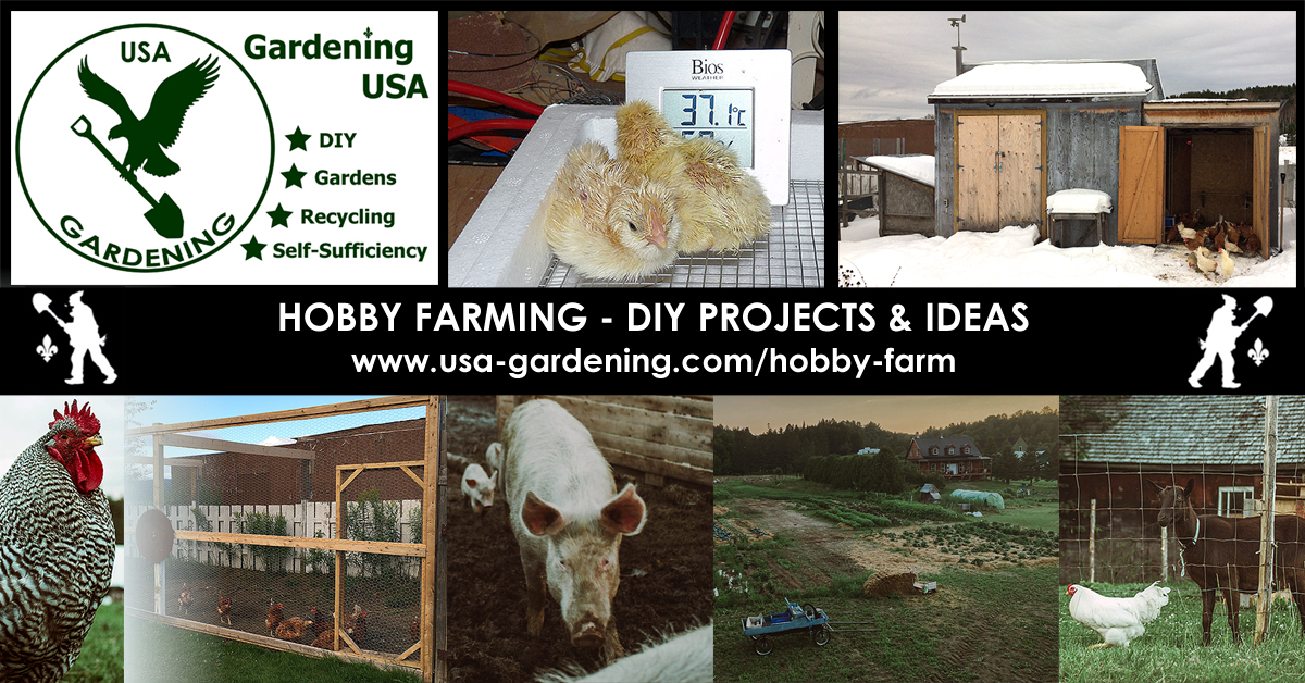 Hobby farming